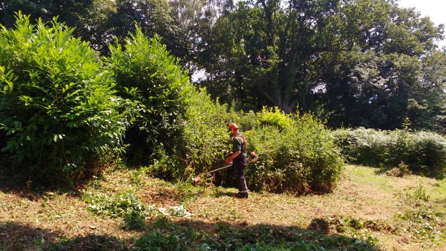 img_20160720_121815344